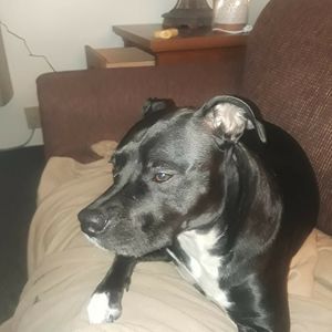 Meet your Posher, Ericaandkevin